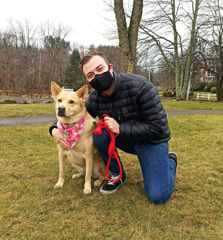 Last Hope K9 Rescue Bcap Org Building Community Assets Purpose